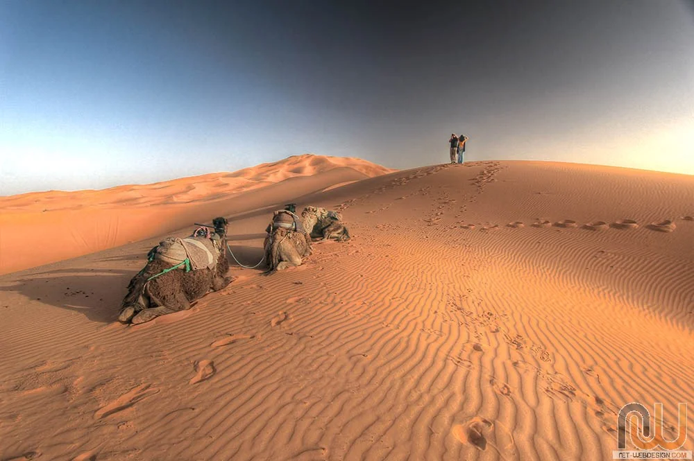 Bivouac