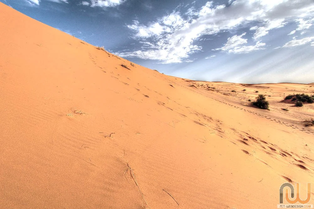 Bivouac