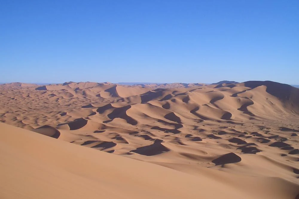 Bivouac
