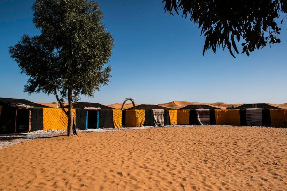 Bivouac