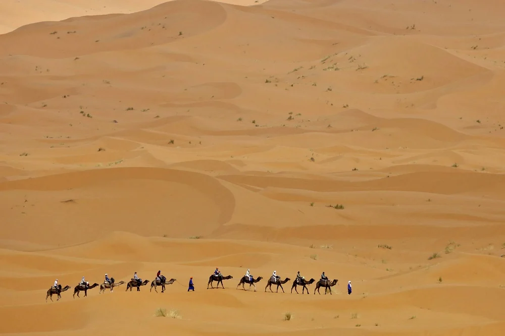 Bivouac